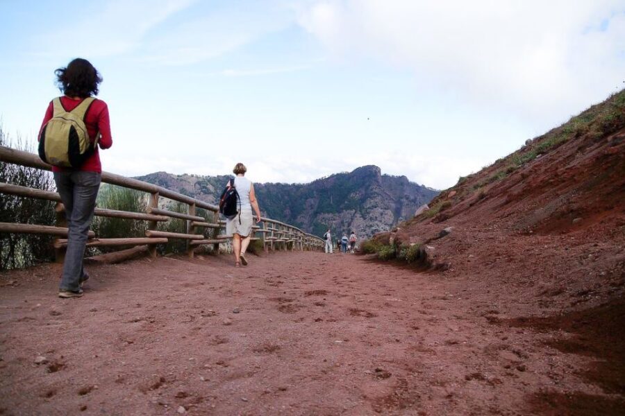 From Sorrento: Pompeii and Vesuvius Tour - Should you book this Pompeii and Vesuvius from Sorrento tour?