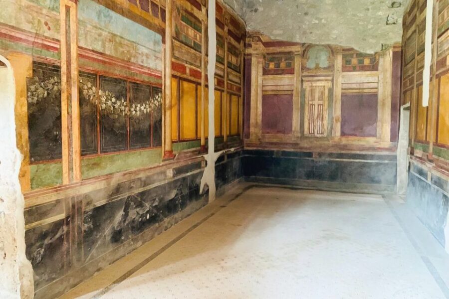 From Sorrento: Pompeii and Vesuvius Tour - Guides and drivers: the difference between a tour and a smooth day