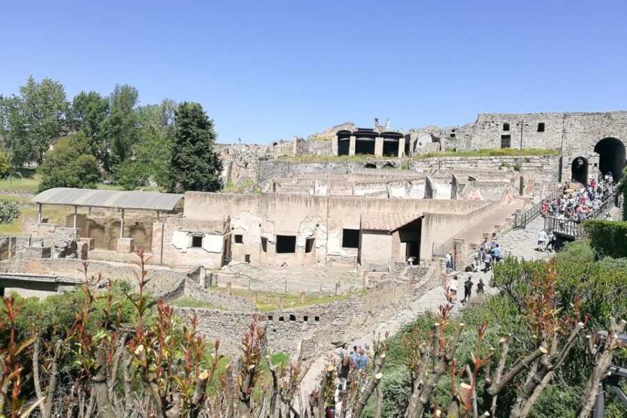 From Sorrento: Pompeii and Vesuvius Tour - Who this tour suits best (and who should choose another plan)
