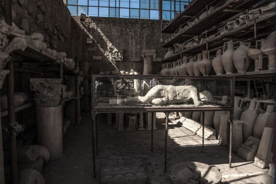 From Sorrento: Pompeii Half-Day Skip-the-Line Tour - The Roman life theme: how the guide makes the city make sense