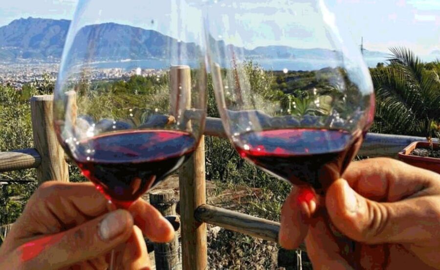 From Sorrento: Pompeii & Mt. Vesuvius Tour with Lunch & Wine - What to bring so the day feels easy