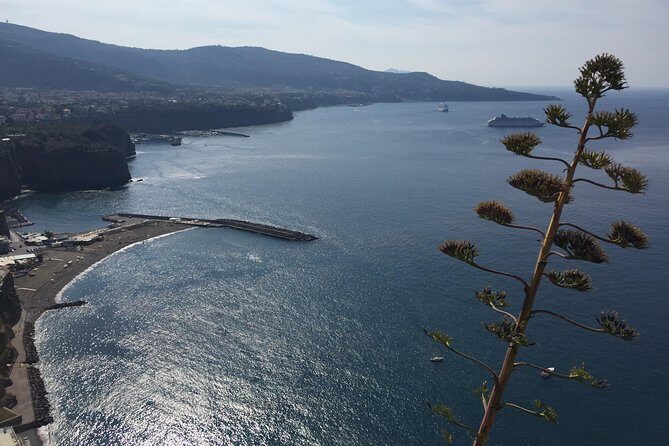 Full Day Private Sorrento & Amalfi Coast Tour from Positano - The appeal of an Amalfi Coast day with your own driver-guide