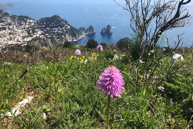 Gastronomic Hike on the Path of the Gods with Food Tasting - The End of the Hike: A Proper Meal Moment, Not Just a Snack