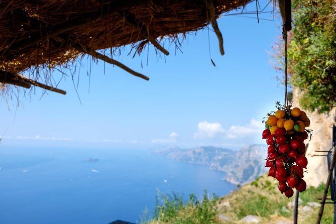 Guided Day Hike on the Path of the Gods with Sorrento Transfer - Key highlights to know before you go