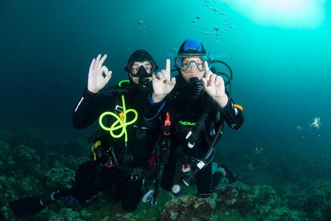 Guided diving for beginners without certification from Sorrento - First underwater session: learning at 6 meters in Punta Campanella waters