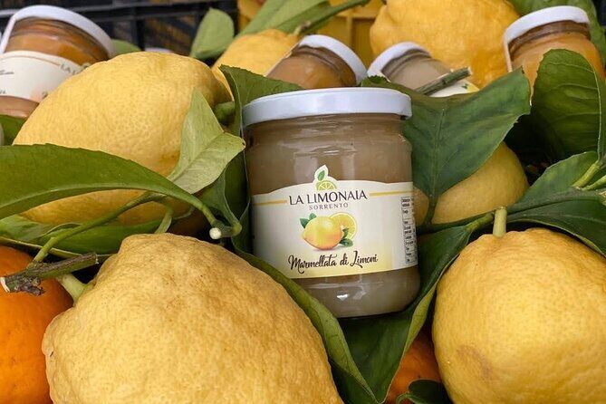 Guided tour of a historic lemon grove in Sorrento - Where to meet: make check-in painless in Sorrento