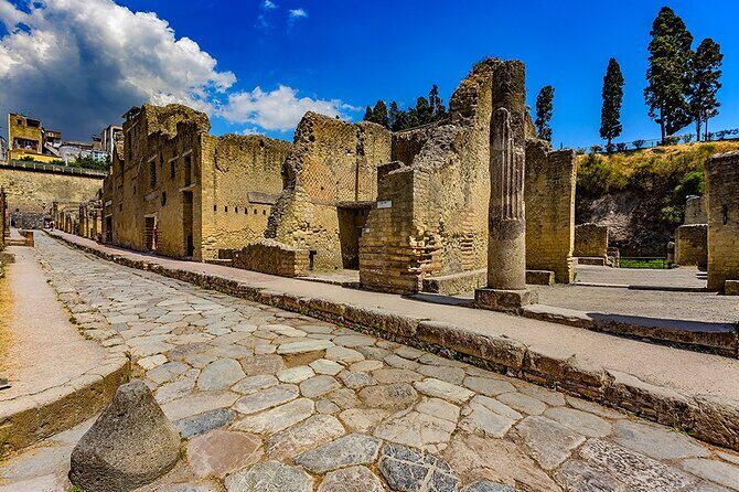 Guided Tour of Pompeii and Herculaneum with Lunch and Ticket - Value and who this tour suits best