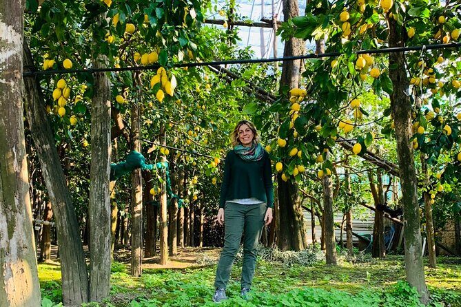 Guided tour of the history and tradition of the Sorrento lemon - Key things to know before you go