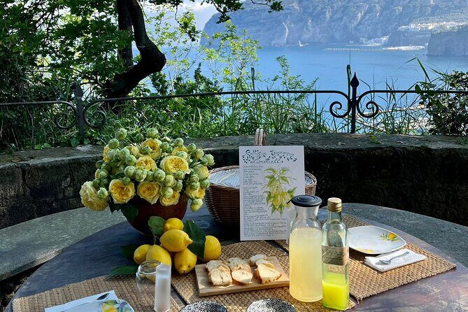 Guided tour of the history and tradition of the Sorrento lemon - Starting point at Viale dei Pini: easy to find, easy to recover