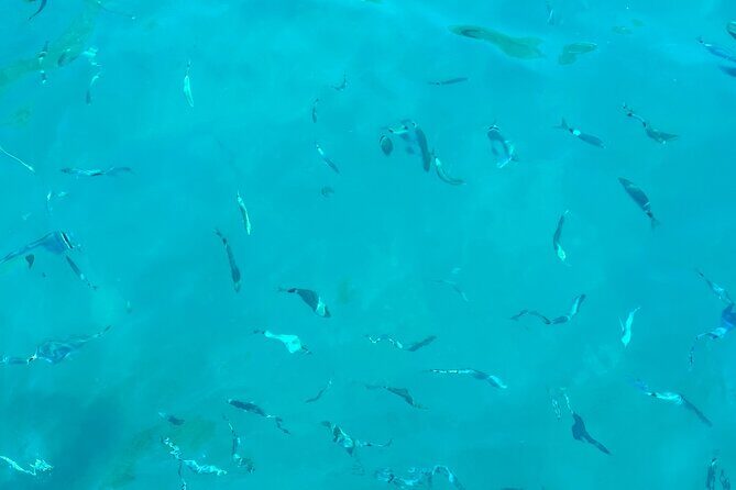 Half-Day Amalfi Coast Boat & Snorkeling Small Group Tour - Drinks, Fruit, and On-Board Comfort: What You’re Actually Paying For