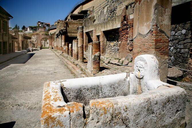 Half Day Herculaneum from Sorrento - Key points before you go