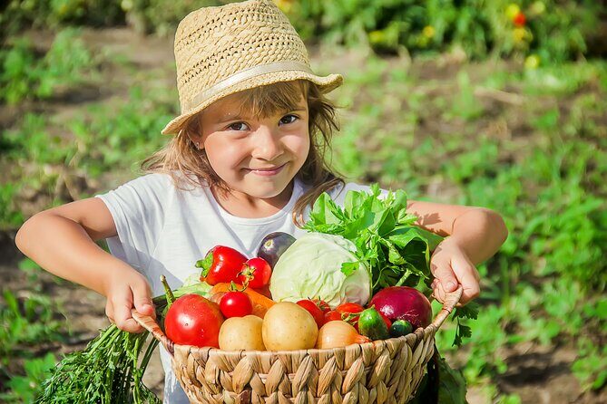 Hands-On Cooking Class & Farmhouse Tour on the Amalfi Coast - Amalfi Heaven Gardens: Why This Place Works for Food Lovers