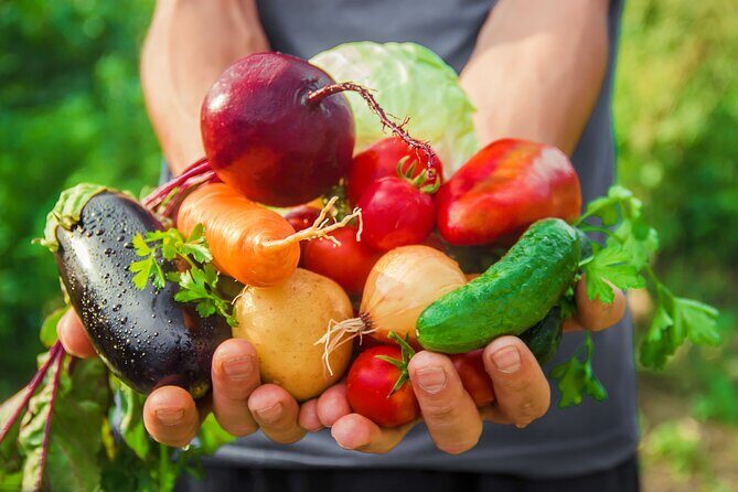 Hands-On Cooking Class & Farmhouse Tour on the Amalfi Coast - The 4-Hour Schedule: What Your Time Looks Like