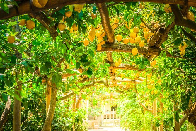 Hands-On Cooking Class & Farmhouse Tour on the Amalfi Coast - Getting There and What to Bring (So You Enjoy It)