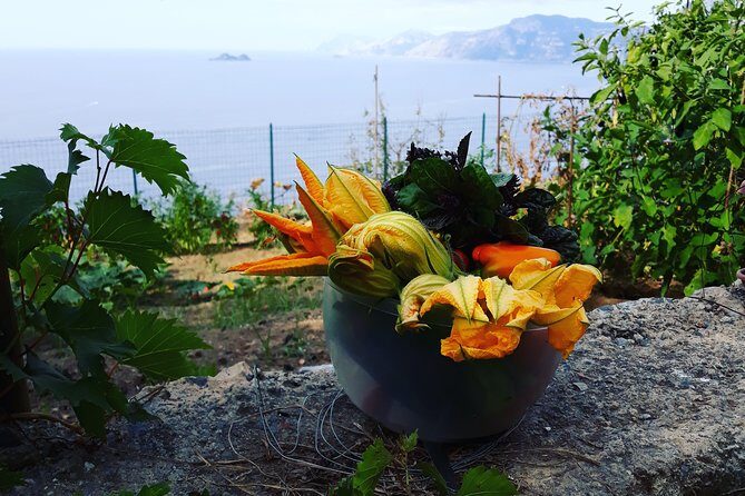 I offer cooking lesson of Amalfi tradition - The Value Math: Why $168.96 Can Make Sense on the Amalfi Coast