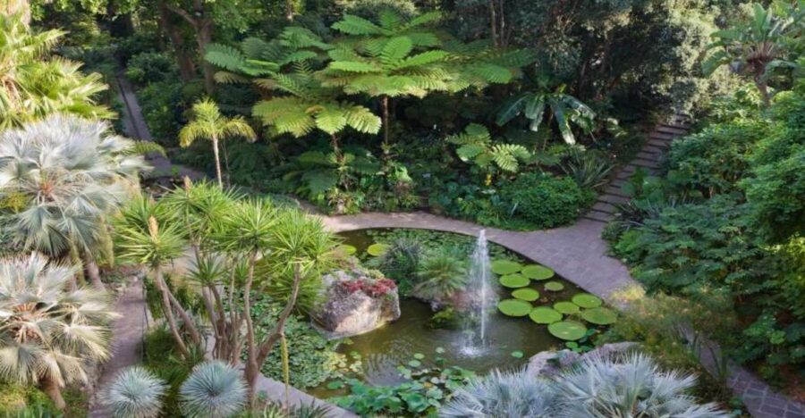 Ischia and Mortella Gardens Full-Day Tour from Sorrento - Key points before you go