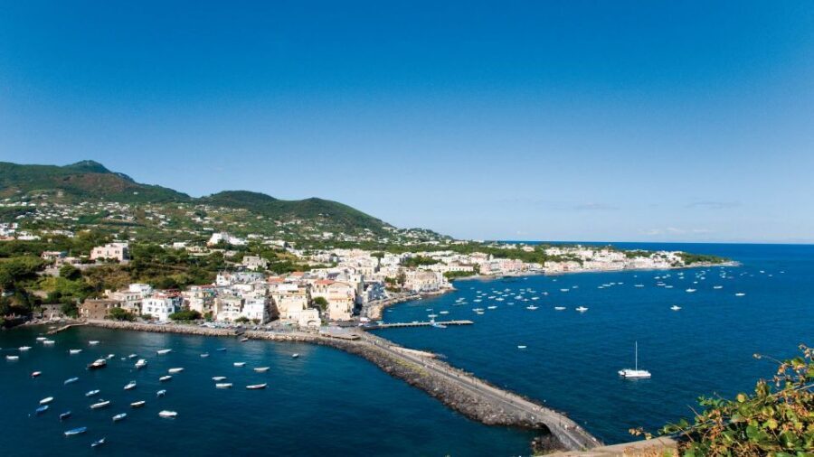 Ischia and Mortella Gardens Full-Day Tour from Sorrento - Who this tour fits best (and who should adjust expectations)