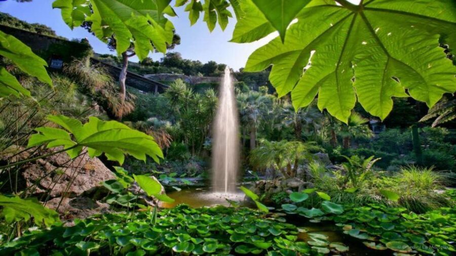 Ischia and Mortella Gardens Full-Day Tour from Sorrento - The guided island loop: villages, viewpoints, and real context