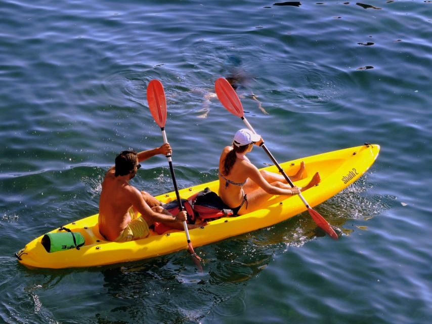 Kayak experience - Practical Timing and What to Expect Day-Of