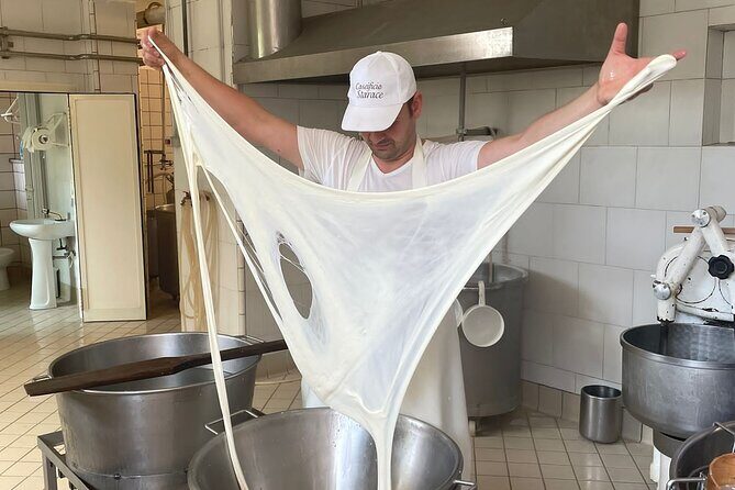 Mozzarella Experience with Tasting in Vico Equense - Key highlights you’ll care about