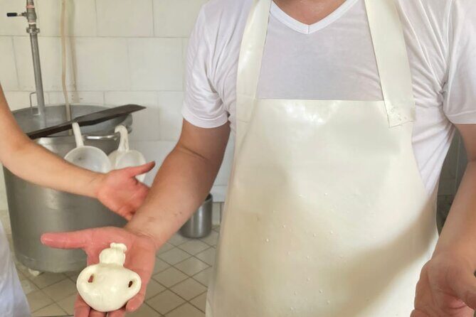 Mozzarella Experience with Tasting in Vico Equense - The mozzarella class and tasting that feels like family time in Vico Equense