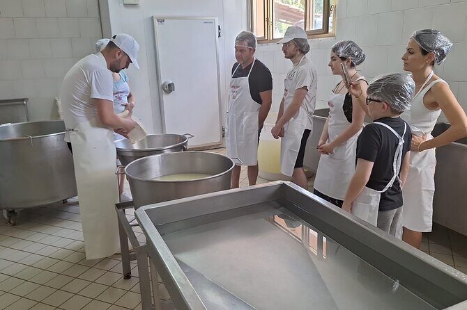 Mozzarella Experience with Tasting in Vico Equense - Hands-on making: shaping mozzarella with Angela and Antonio
