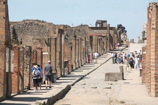 Mt. Vesuvius and Pompeii Full-Day Tour from Sorrento - Mt. Vesuvius National Park: escorted to the turnstile, then crater views