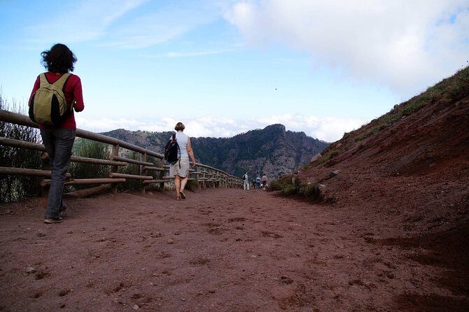 Mt Vesuvius and Pompeii Tour by Bus from Sorrento - Value check: what you get for $149.65