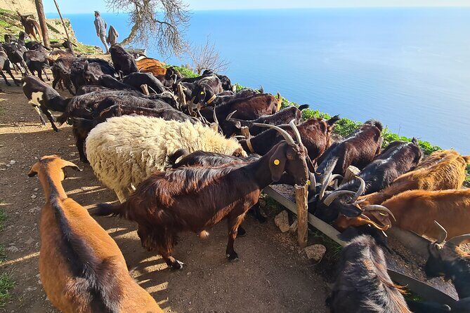 Path of Gods Hike, with Food Experience at Shepherd's Hut - What to Wear and Bring for a Moderate 4–5 Hour Hike