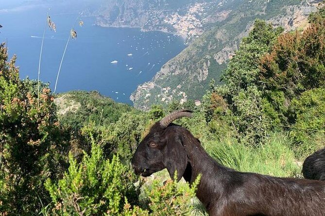 Path of the gods hike - Starting at Bomerano and the Zia Lucy stop that sets the tone