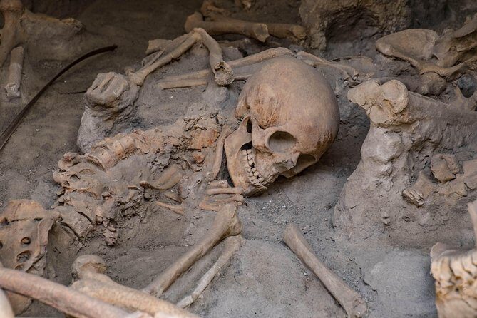 Pompeii, Herculaneum and Winery on Vesuvius with an Archaeologist - Temple of Apollo and the Forum: politics meets religion (with Vesuvius watching)