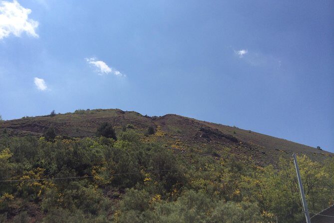 Pompeii, Herculaneum & Mt. Vesuvius Guided Tour from Sorrento - Pompeii in a focused 2 hours with a licensed guide