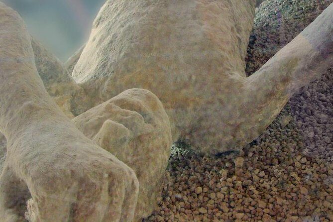 Pompeii & Herculaneum - Skip the line from Sorrento - Pompeii: A guided 2-hour route through public life