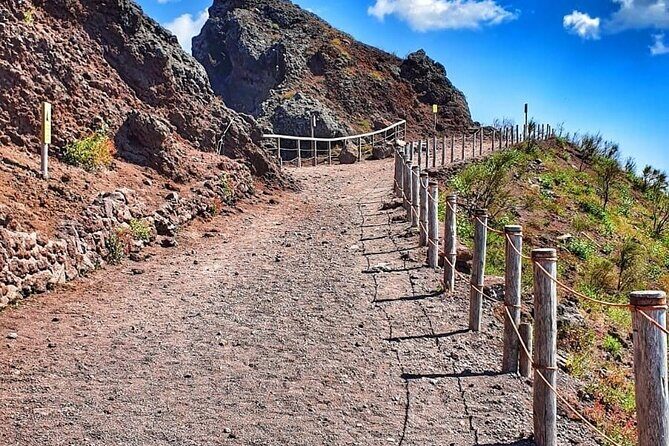 Pompeii & Mount Vesuvius Tour with Guided Visit, Tickets & Lunch - The Forum, Temples, and the Streets That Mattered