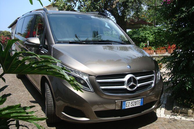 Pompeii, Mt Vesuvius and Wine Tour - Price and Logistics: Where the True Total Comes From