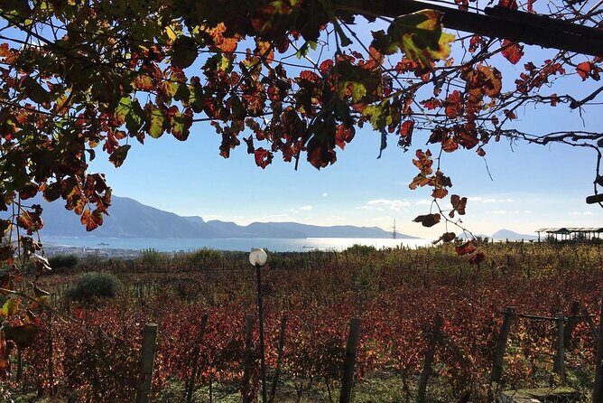 Pompeii, Mt Vesuvius and Wine Tour - Small Details That Make the Day Work Better