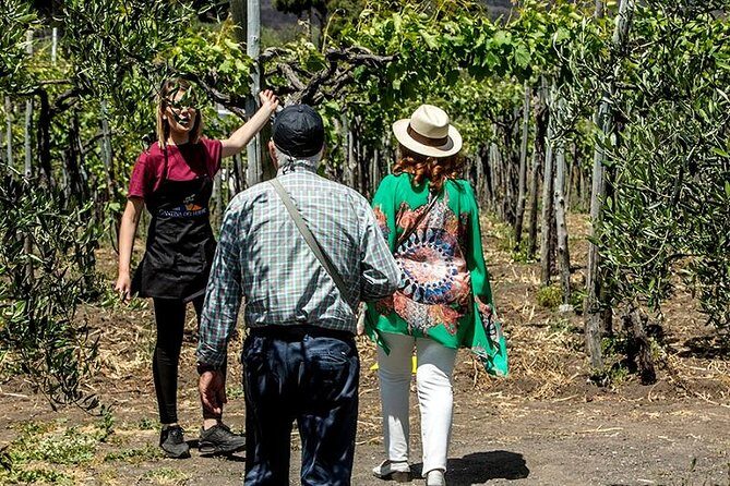 Pompeii Ruins & Wine Tasting with Lunch on Vesuvius with Private Transfer - Herculaneum (Ercolano) and Vesuvius National Park: optional adds that change the day