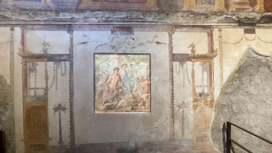 Pompeii - Vesuvius & Wine from Amalfi Coast all inclusive - Should you book this Pompeii Vesuvius wine tour?