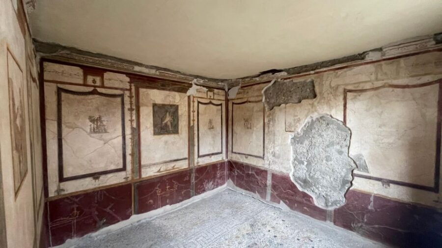 Pompeii - Vesuvius & Wine from Amalfi Coast all inclusive - Casa Setaro winery lunch and wine tasting: the reset your schedule needs