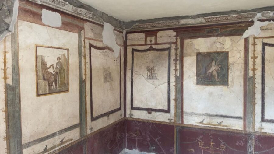 Pompeii - Vesuvius & Wine from Amalfi Coast all inclusive - Who this Pompeii–Vesuvius wine tour fits best (and who should skip)