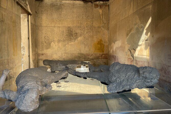 Pompeii, Vesuvius & wine tasting from Positano all inclusive - Should you book this Pompeii, Vesuvius & wine tour from Positano?