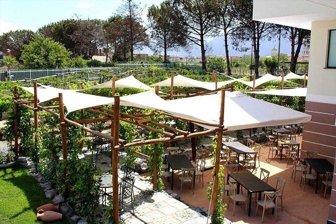 Pompeii & Vesuvius with Lunch & Wine Tasting from Amalfi Coast - Moving from Pompeii to Vesuvius: plan for the in-between gap