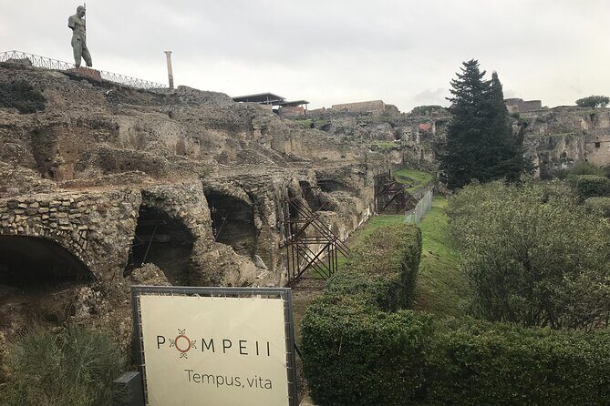 Pompeii Wine Tasting Tour from Positano - A smooth day from Positano to Pompeii and Bosco de Medici