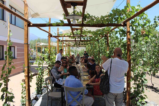 Pompeii Wine Tasting Tour from Positano - Price and value: $301.20 is about organization, not just wine