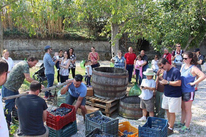 Pompeii Wine Tasting Tour from Positano - What could frustrate you, and how to handle it