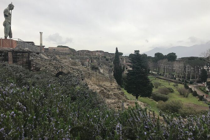 Pompeii Wine Tasting Tour from Positano - Meeting point and pickup: what “easy” means here