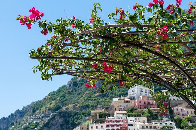 Positano Walking Tour with a Local Guide - Meeting Saveria Fiore Ladybug and getting oriented fast