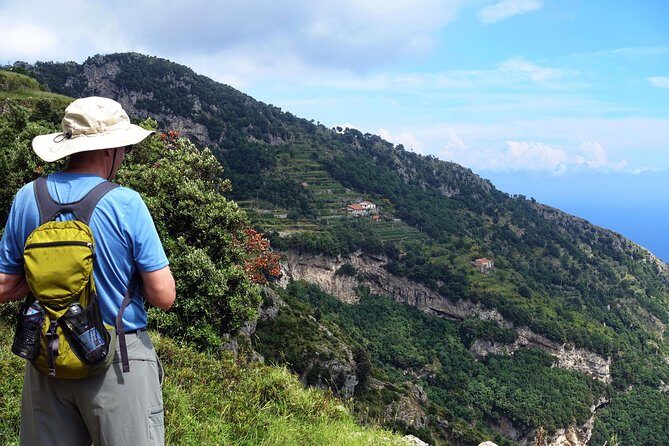 Private Amalfi Coast Tour with Path of the Gods - The driver makes the day: stories, photo stops, and small fixes