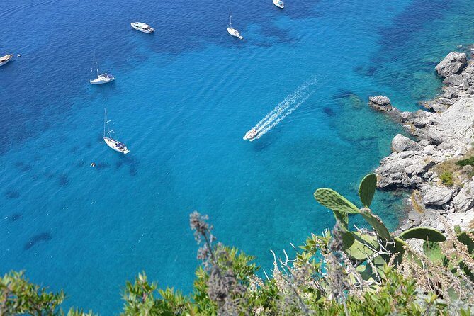 Private Boat Excursion from Sorrento to Capri and Positano - From Sorrento’s Marina Piccola to Two Coast Icons
