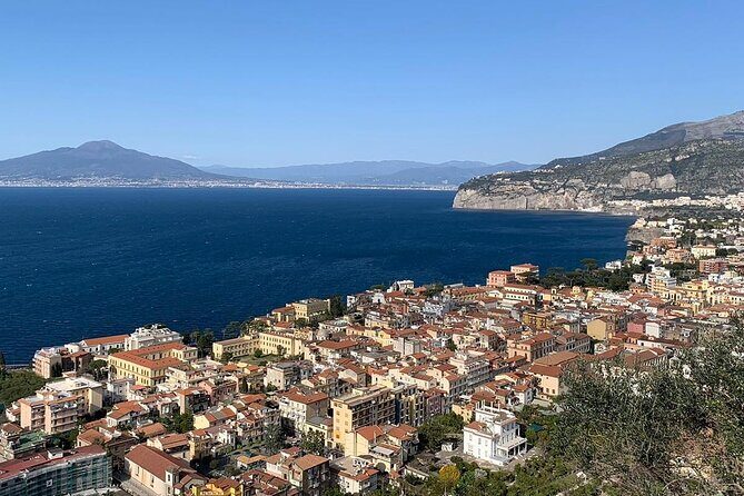 Private Day Tours : Discover the Top Destinations in One Day! - Start in Sorrento, then let the coast do the driving